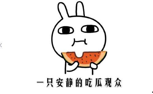 娱乐吃瓜名字怎么取的呀