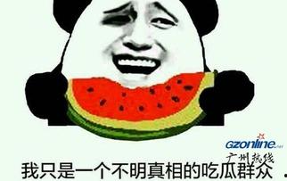 娱乐吃瓜名字怎么取的呀